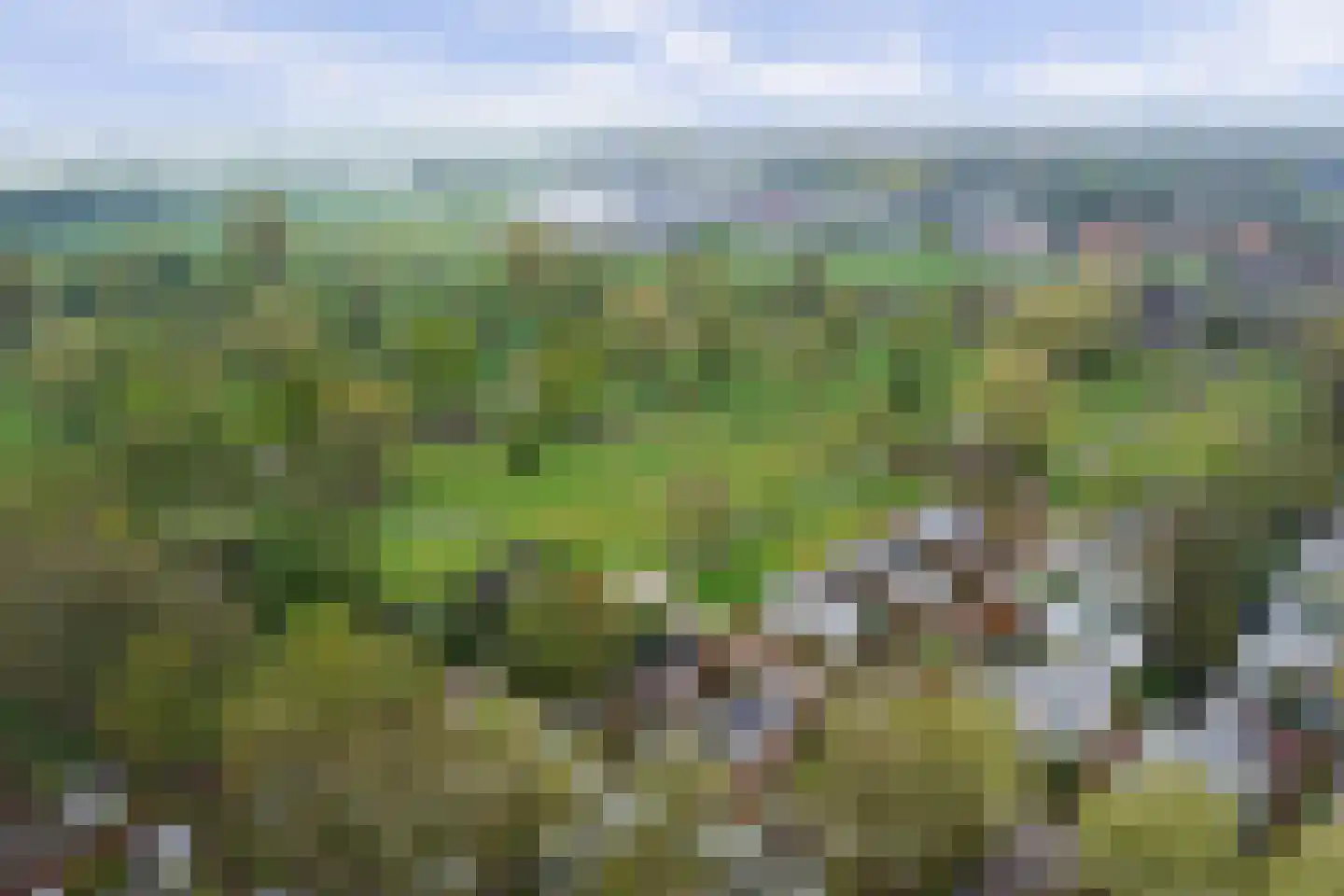 Rivierendal 52 Ochten thumbnail 36