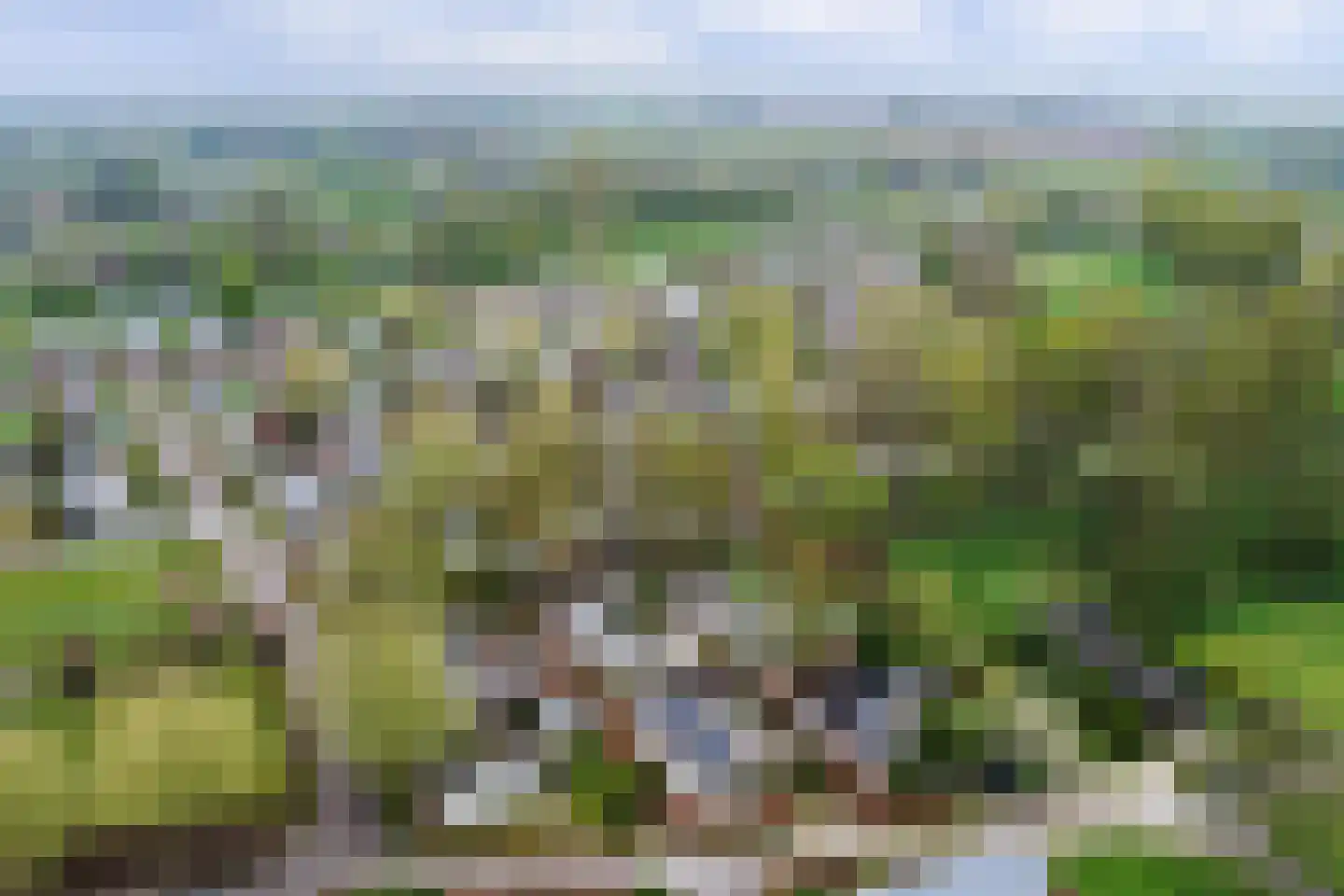 Rivierendal 52 Ochten thumbnail 39