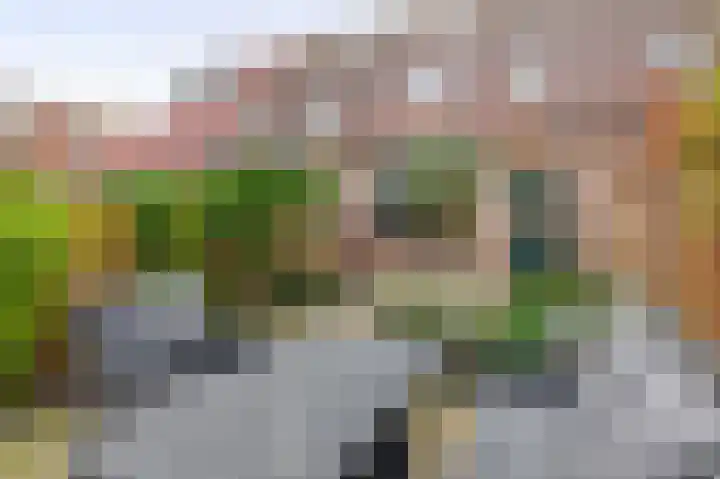 Rivierenlaan 117 Pijnacker thumbnail 13