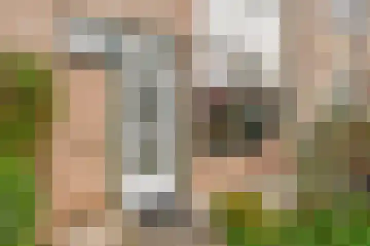 Rivierenlaan 117 Pijnacker thumbnail 29