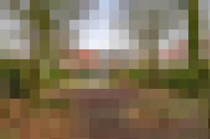 Rivierenlaan 117 Pijnacker thumbnail 32