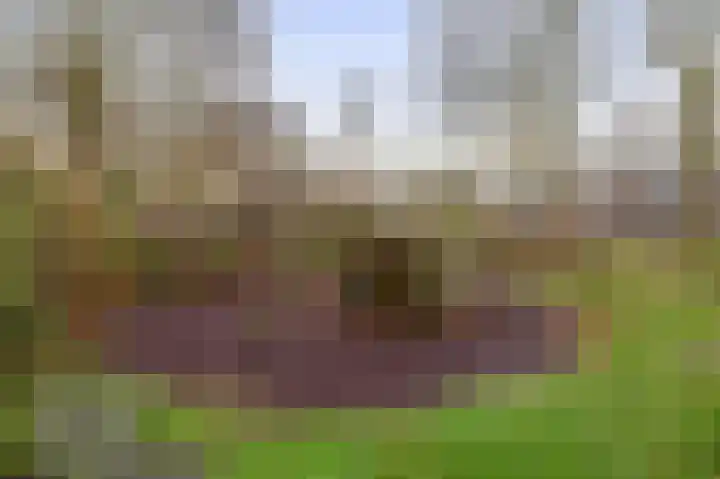 Rivierenlaan 117 Pijnacker thumbnail 35