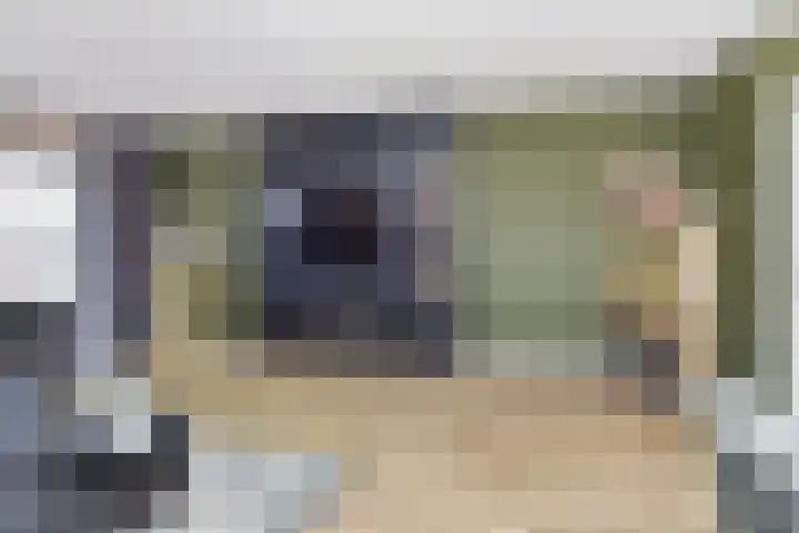 Rivierenlaan 124 Pijnacker thumbnail 7