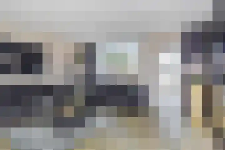 Rivierenlaan 124 Pijnacker thumbnail 8