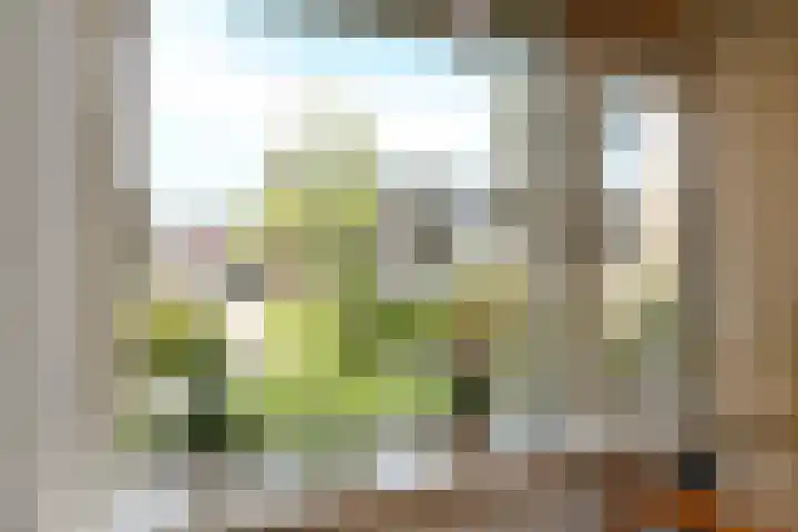 Rivierenlaan 71 Pijnacker thumbnail 14