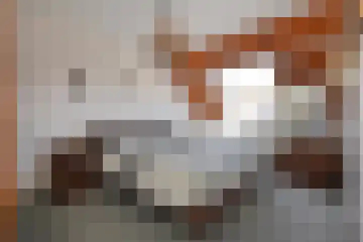 Rivierenlaan 71 Pijnacker thumbnail 17