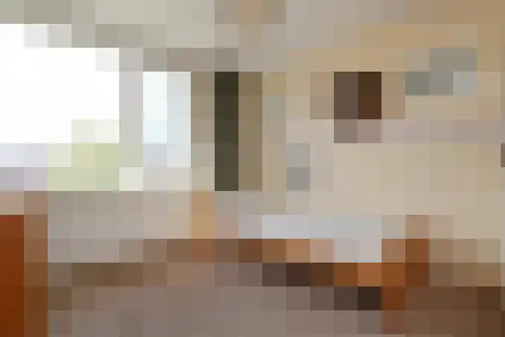 Rivierenlaan 71 Pijnacker thumbnail 18