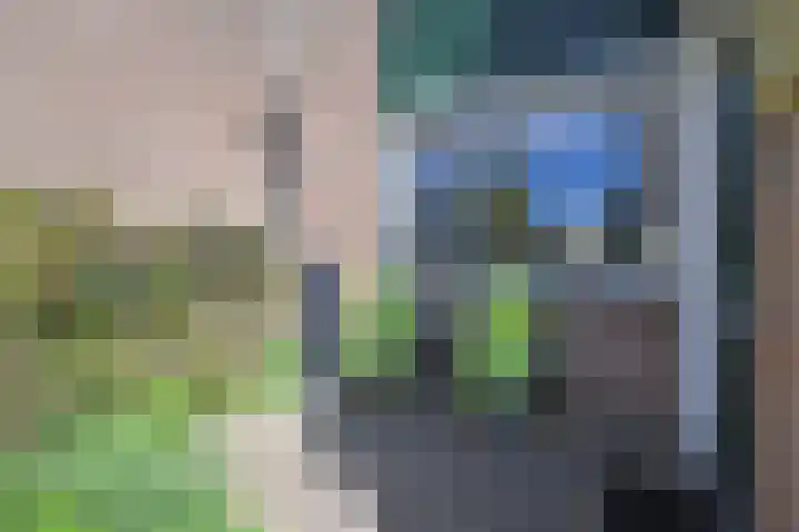 Rivierenlaan 71 Pijnacker thumbnail 6