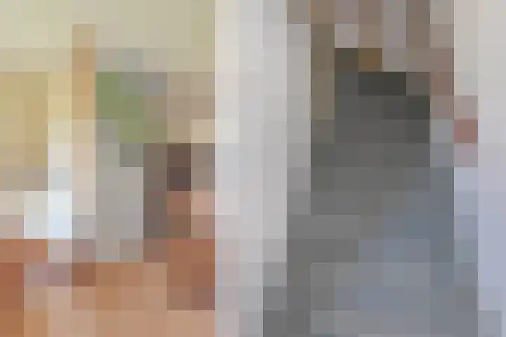 Rivierenlaan 71 Pijnacker thumbnail 8
