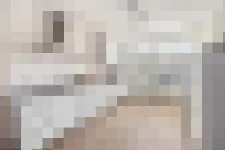 Rivierenlaan 77 Pijnacker thumbnail 10