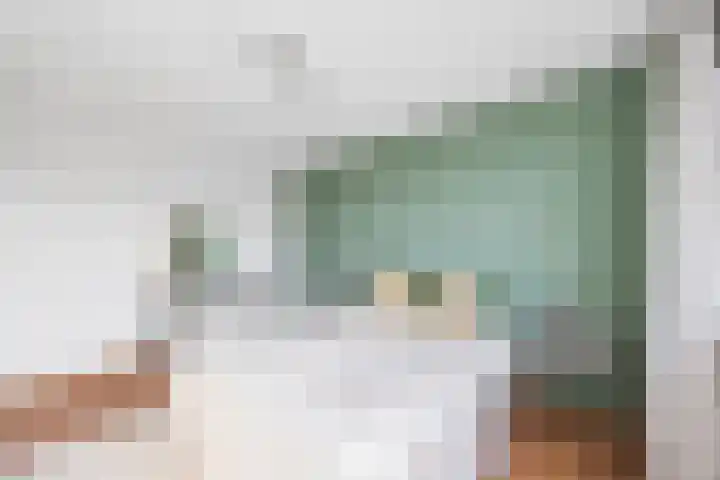 Rivierenlaan 77 Pijnacker thumbnail 13