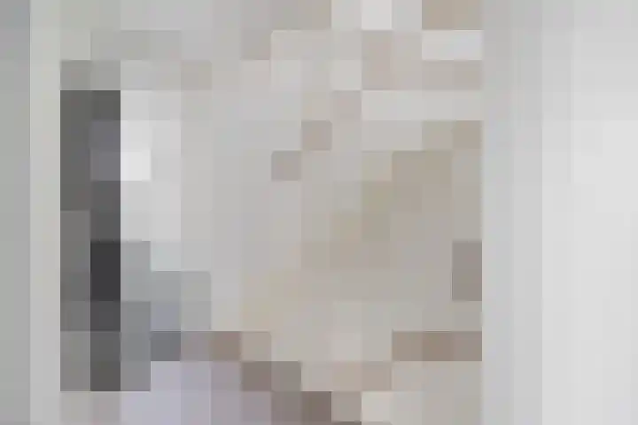 Rivierenlaan 77 Pijnacker thumbnail 15