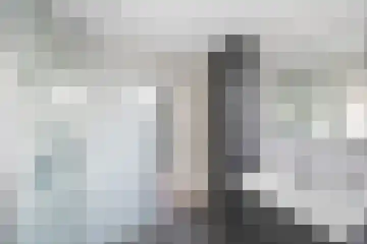 Rivierenlaan 77 Pijnacker thumbnail 16