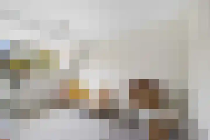 Rivierenlaan 77 Pijnacker thumbnail 18
