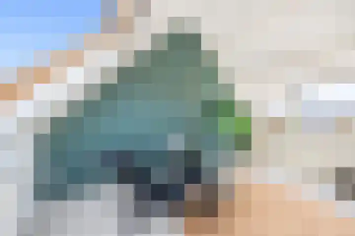 Rivierenlaan 77 Pijnacker thumbnail 25