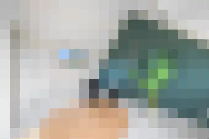 Rivierenlaan 77 Pijnacker thumbnail 26