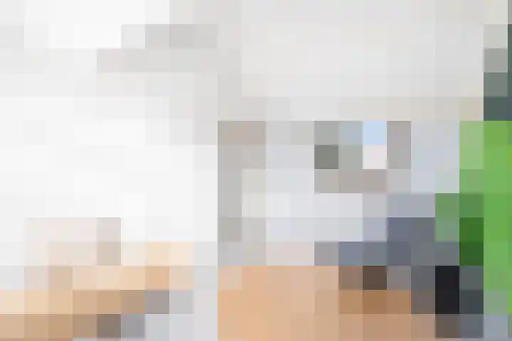 Rivierenlaan 77 Pijnacker thumbnail 27