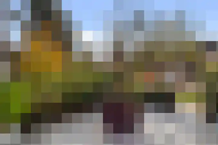 Rivierenlaan 77 Pijnacker thumbnail 29