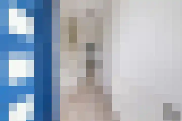 Rivierenlaan 77 Pijnacker thumbnail 30