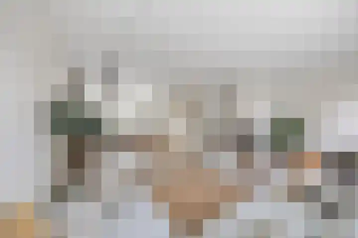 Rivierenlaan 77 Pijnacker thumbnail 4