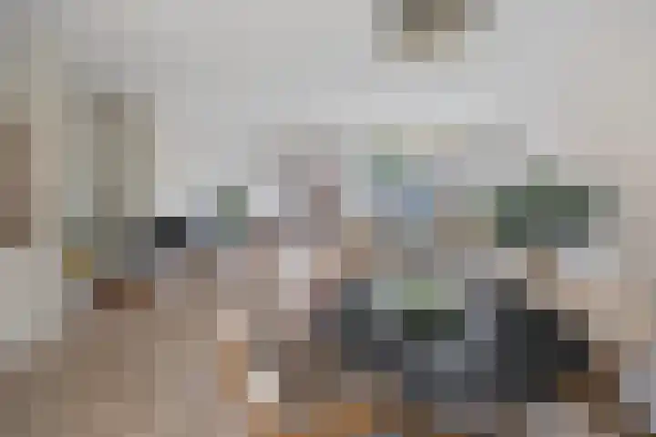 Rivierenlaan 77 Pijnacker thumbnail 5
