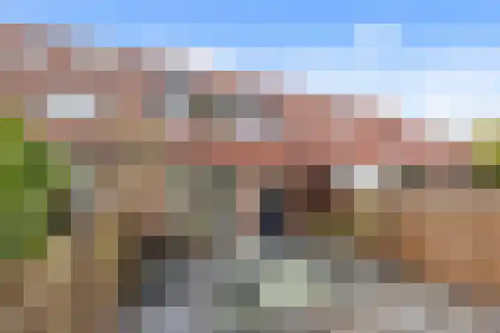 Rivierenlaan 77 Pijnacker thumbnail 6