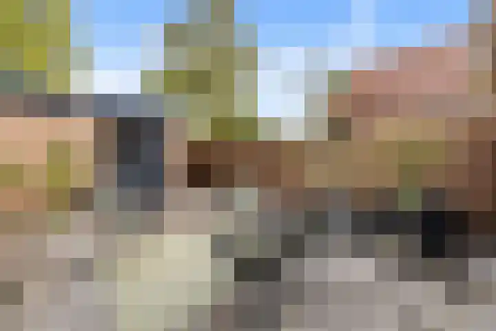 Rivierenlaan 77 Pijnacker thumbnail 7