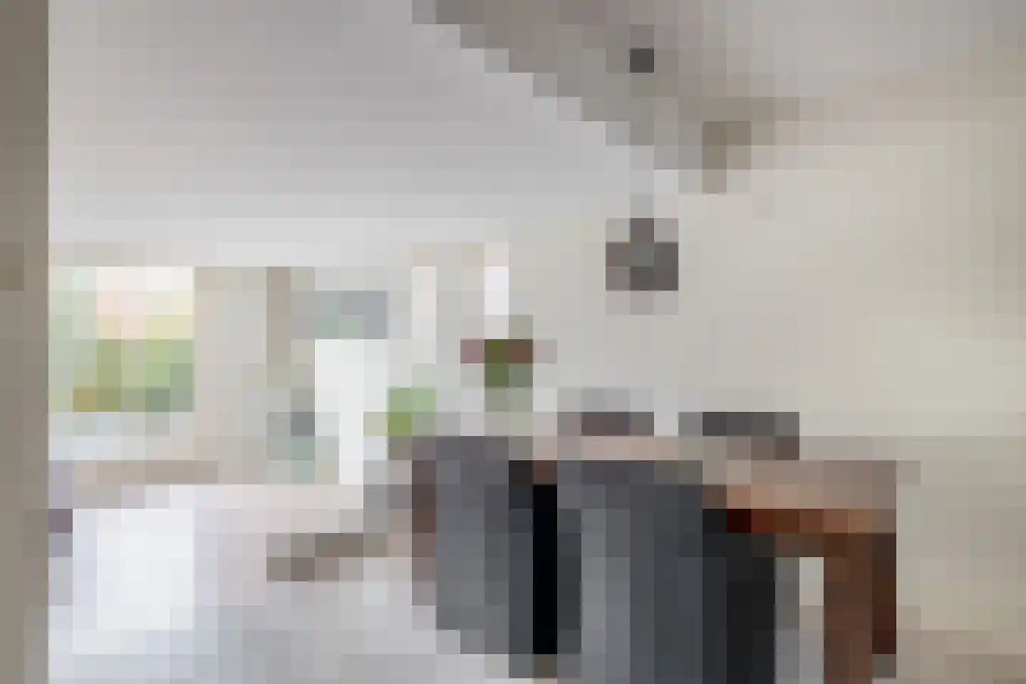 Rivierenlaan 98 Pijnacker thumbnail 11