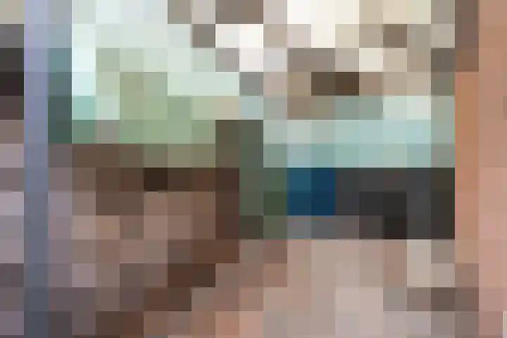 Rivierenlaan 98 Pijnacker thumbnail 14