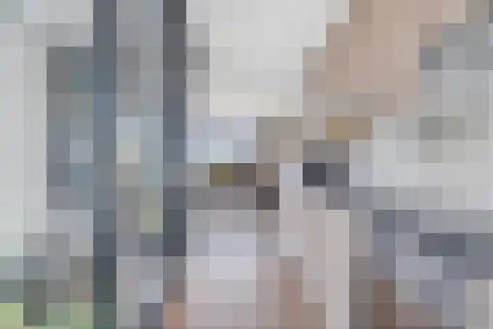 Rivierenlaan 98 Pijnacker thumbnail 15