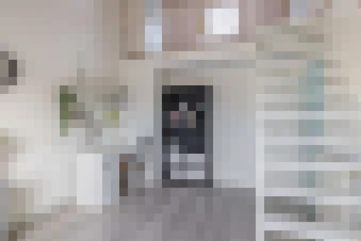 Rivierenlaan 98 Pijnacker thumbnail 35