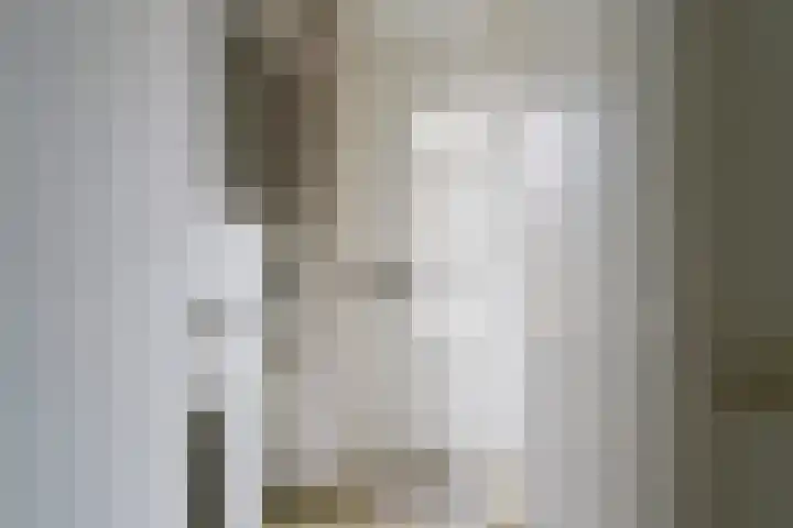 Rivierensingel 455 Helmond thumbnail 4