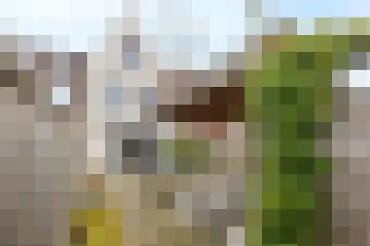 Rivierloop 34 Kampen thumbnail 31