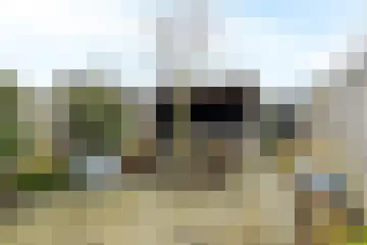 Rivierloop 34 Kampen thumbnail 35