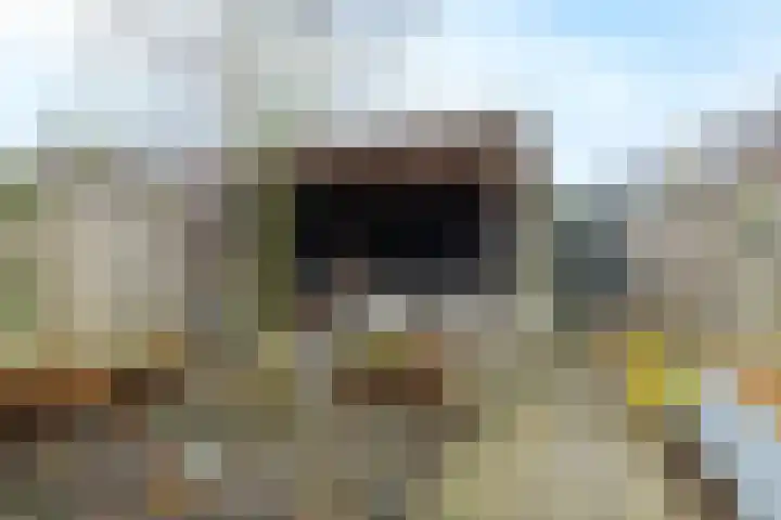 Rivierloop 34 Kampen thumbnail 36