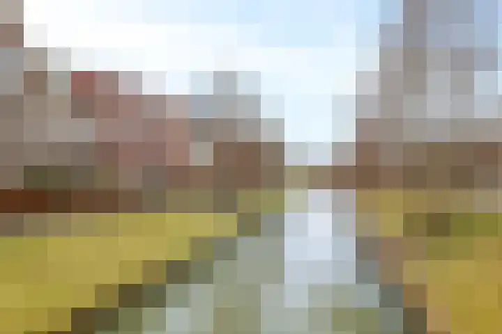 Rivierloop 34 Kampen thumbnail 43