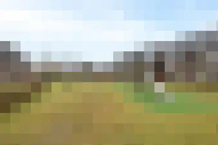 Rivierloop 34 Kampen thumbnail 45