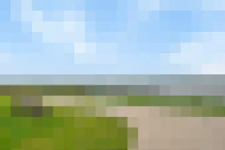 Rivierloop 34 Kampen thumbnail 47