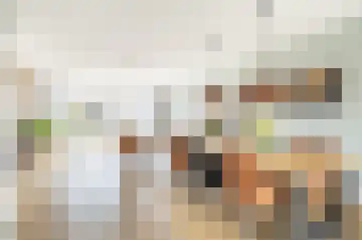 Rivierloop 34 Kampen thumbnail 7