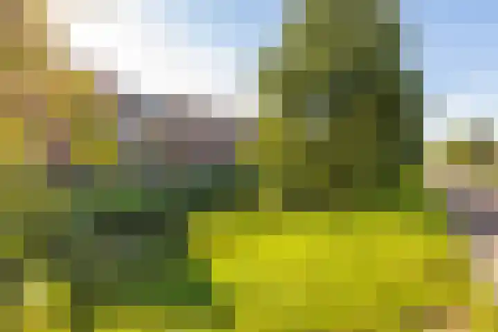 Rivierloop 68 Kampen thumbnail 37