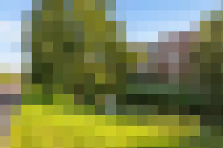Rivierloop 68 Kampen thumbnail 38