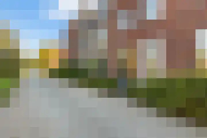 Rivierloop 68 Kampen thumbnail 5
