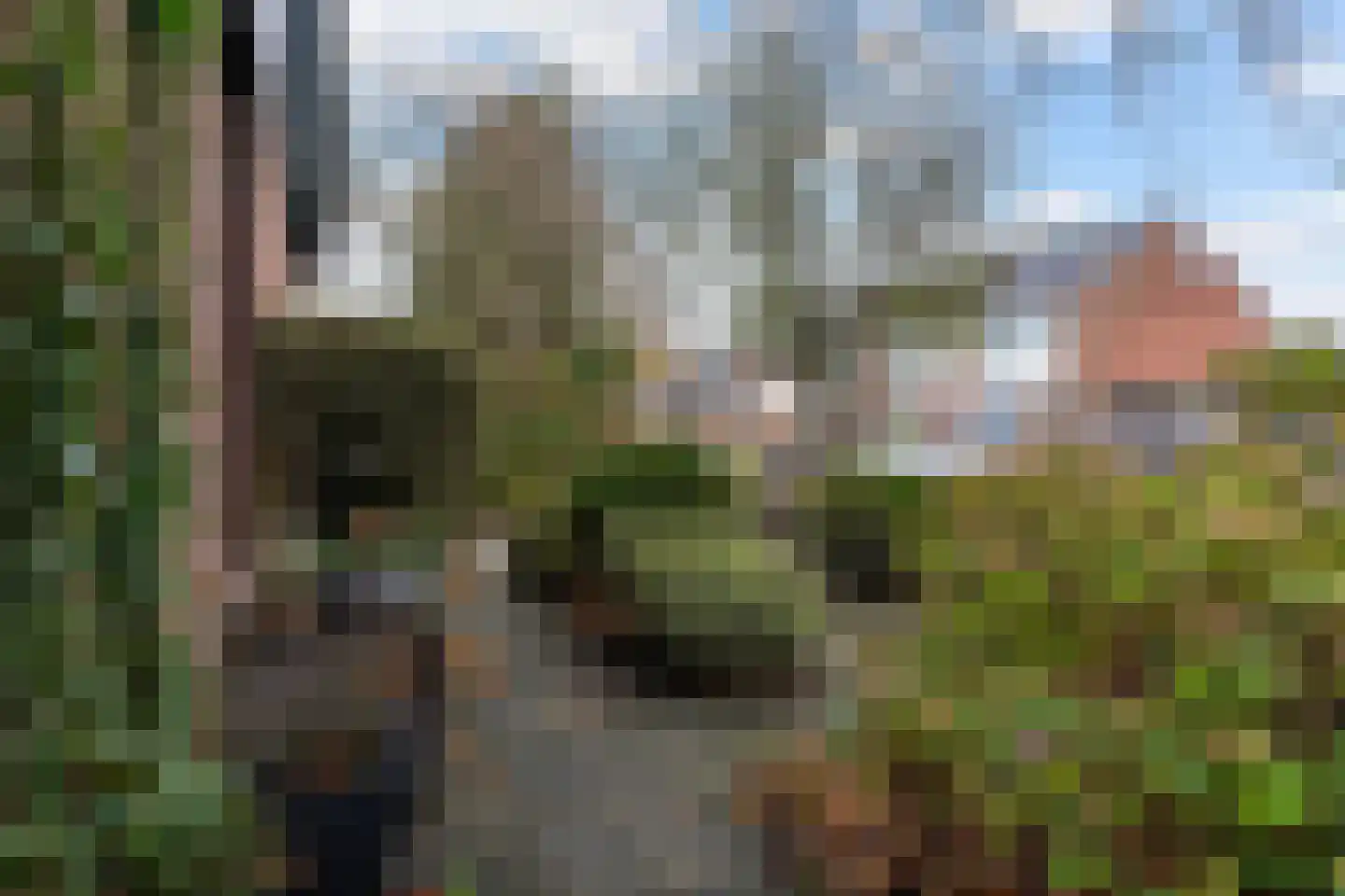 Rixtwei 325 Leeuwarden thumbnail 10