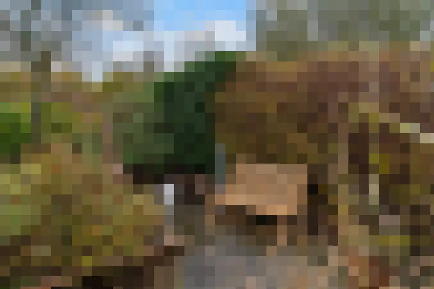 Rixtwei 325 Leeuwarden thumbnail 33