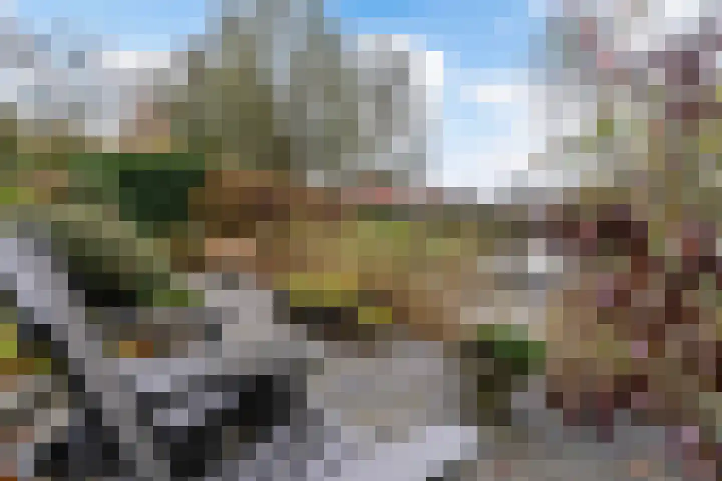 Rixtwei 325 Leeuwarden thumbnail 35