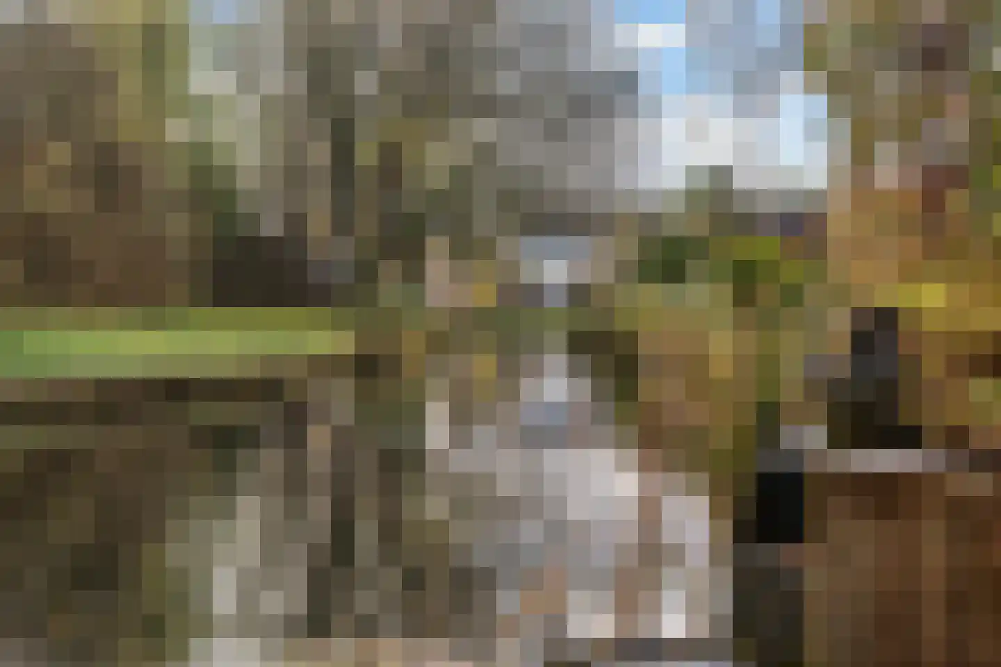 Rixtwei 325 Leeuwarden thumbnail 63