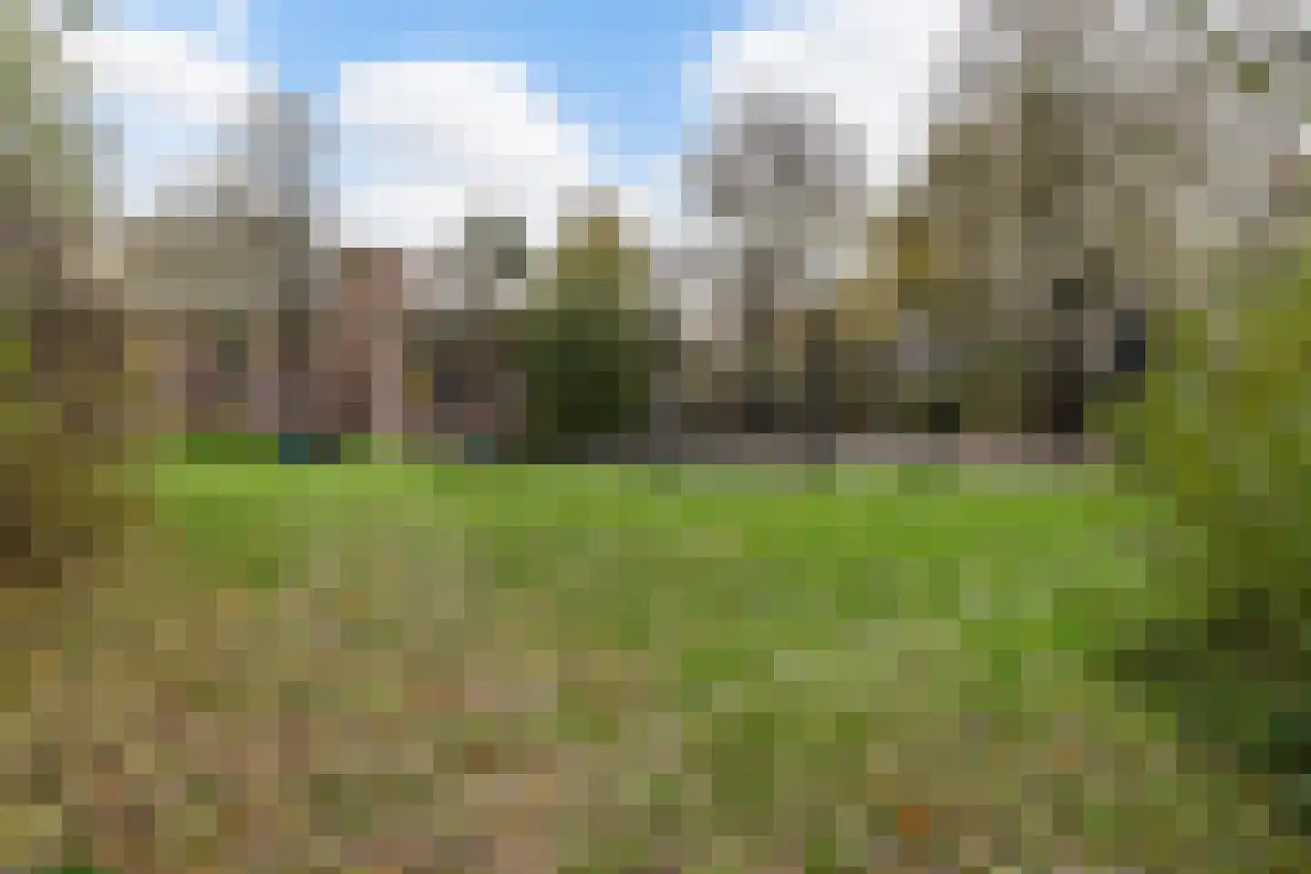 Rixtwei 325 Leeuwarden thumbnail 64