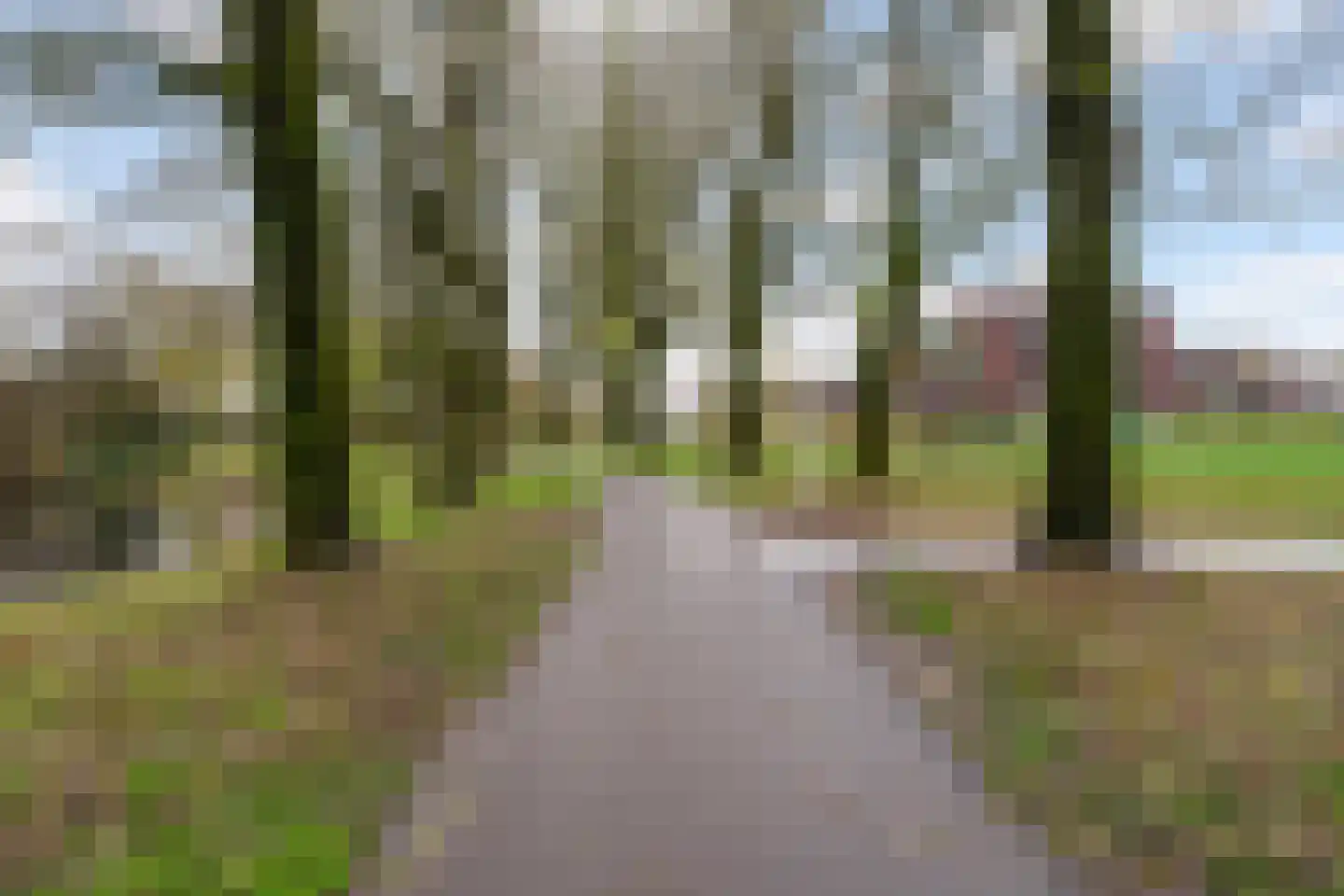 Rixtwei 325 Leeuwarden thumbnail 65