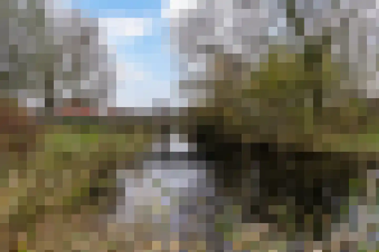 Rixtwei 325 Leeuwarden thumbnail 67