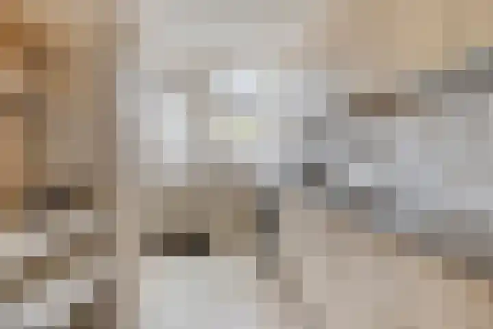 Robbesant 16 Emmeloord thumbnail 12